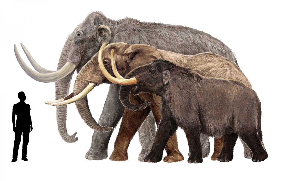 26 Mammoths-Ice Age 2-John Powell - YouTube