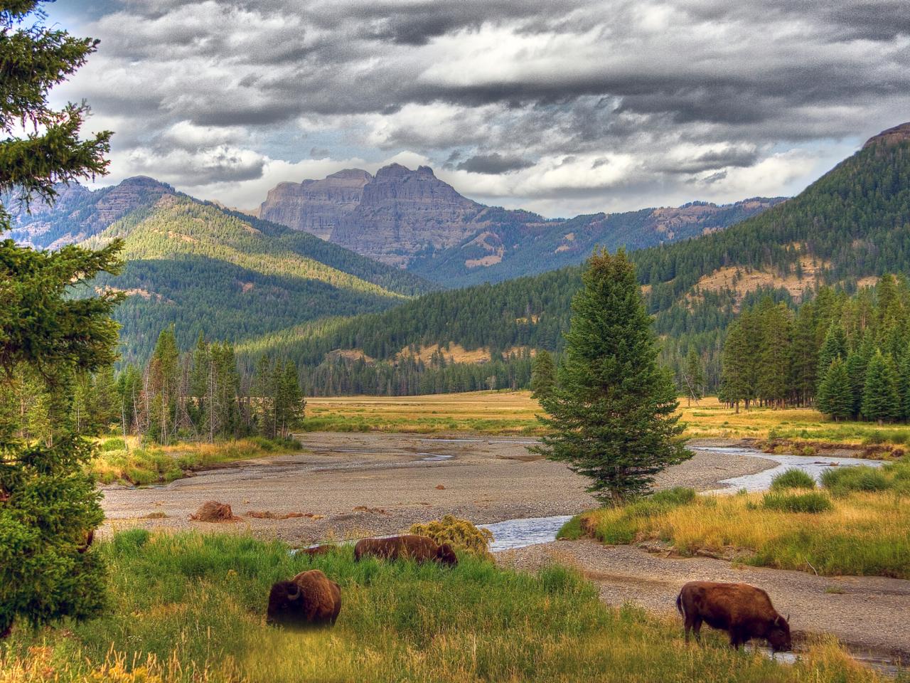 The Natural Beauty Of The Yellowstone National Park
