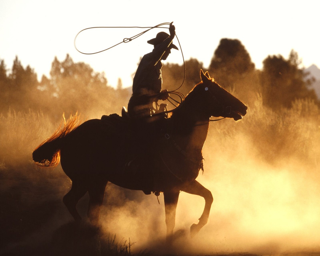 Cowboys Without Guns A Brief History Of The Real Wild West