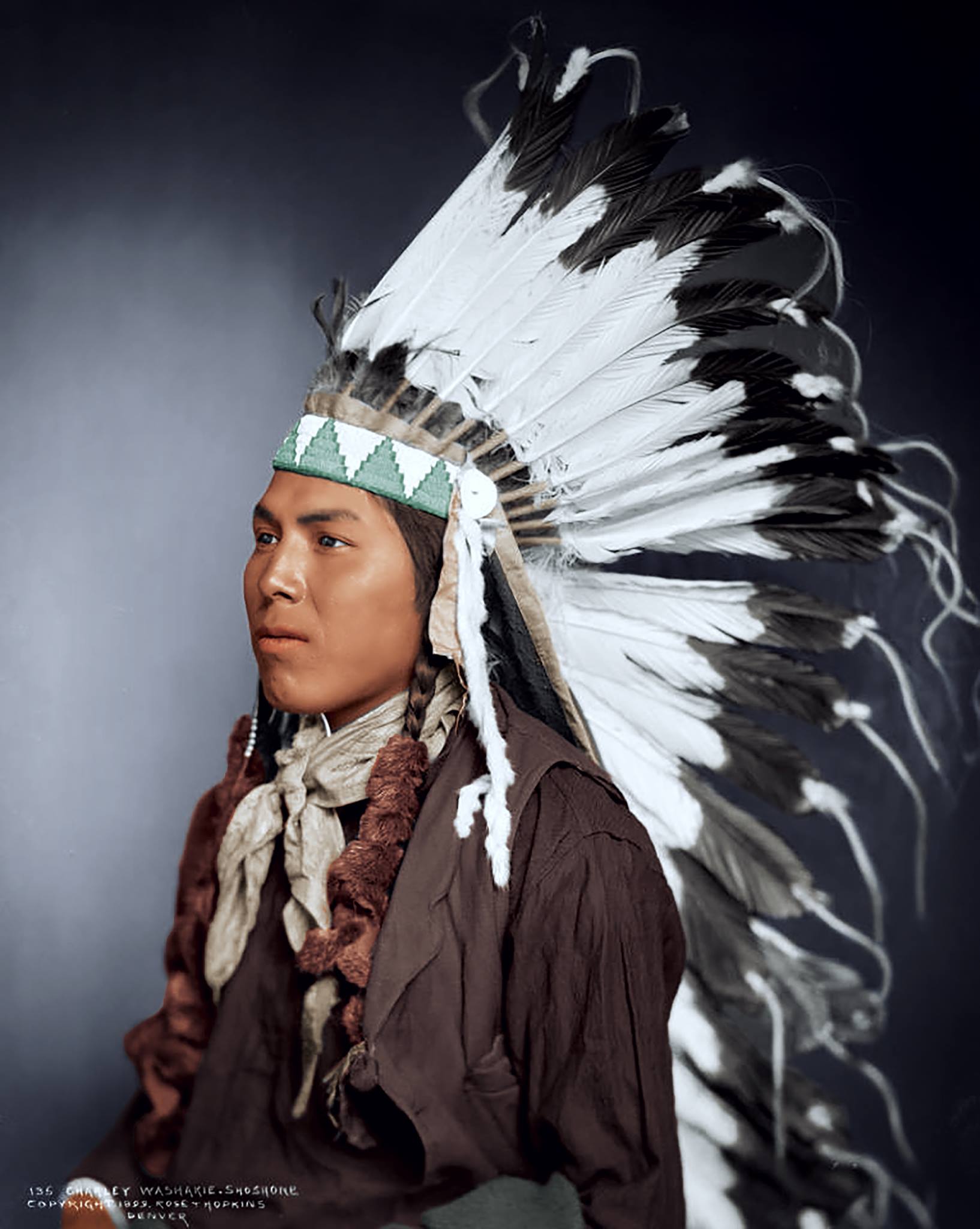 COLORIZED ON BOTH SIDES COLORIZED 2020 P NATIVE AMERICAN $ 