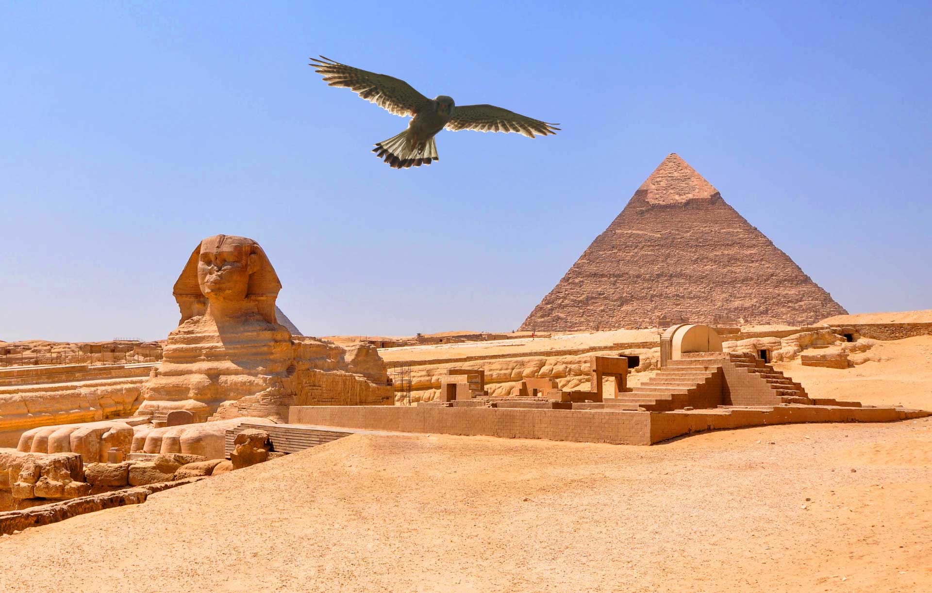 8 Awesome Facts About Ancient Egypt