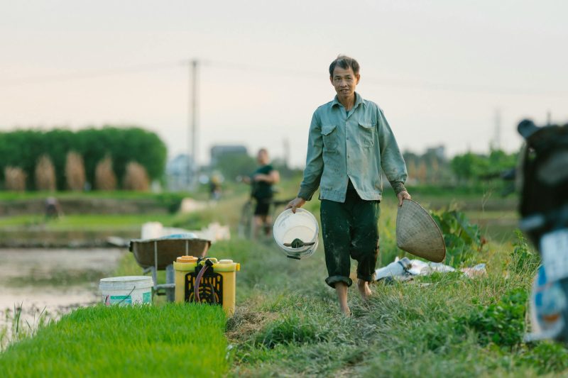 5 Ways Agriculture Actually Changed Human History