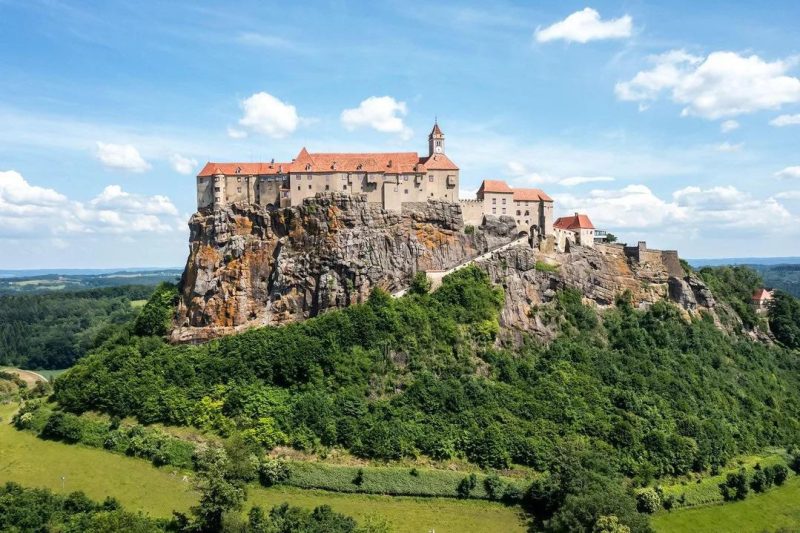 Did Medieval Armies Have Special Forces?