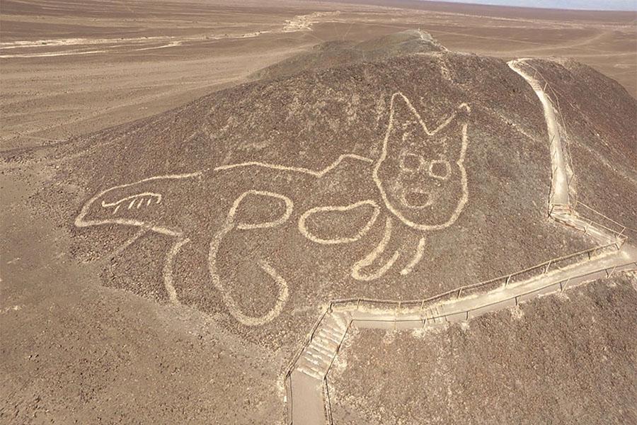 The Nazca Cat: A New Face in an Ancient Desert