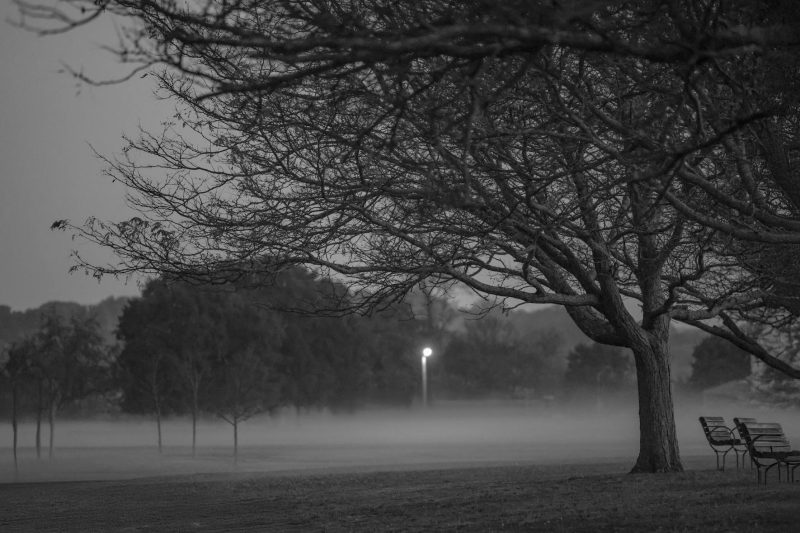 What If Indira Gandhi Had Replaced Her Sikh Guards?