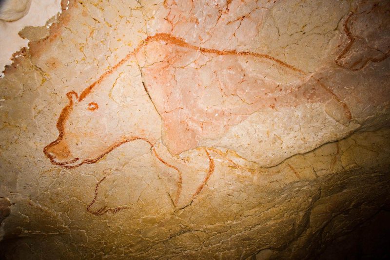 5 Things Chauvet’s Cave Bear Painting Really Tells Us