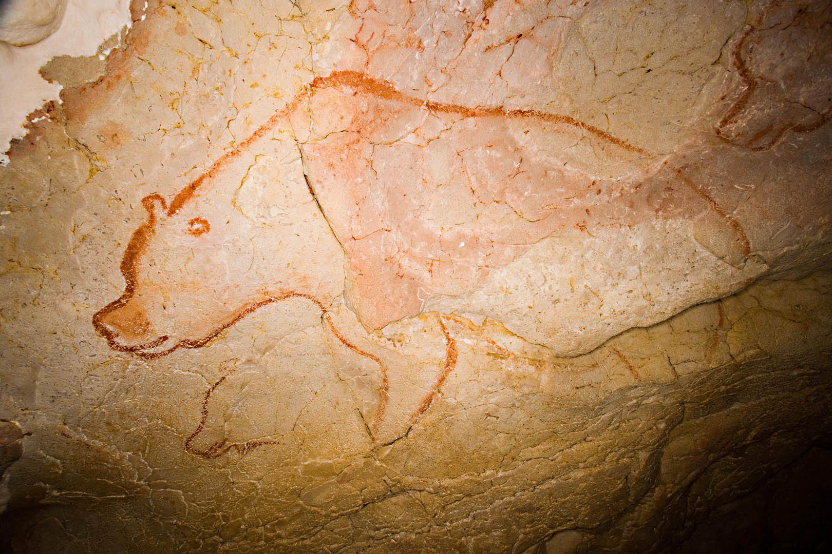 5 Things Chauvet’s Cave Bear Painting Really Tells Us
