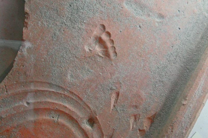 Roman Baby Footprint vs Modern Baby Prints