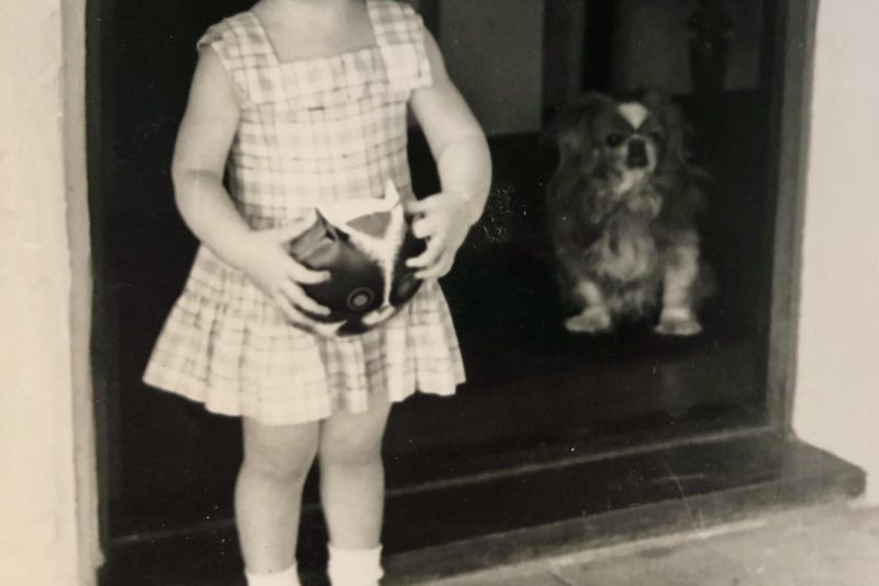 What If 1950s Girls Kept Their Cat Purses?